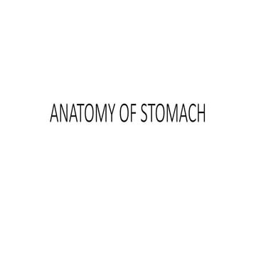Anatomy of Stomach.pptx