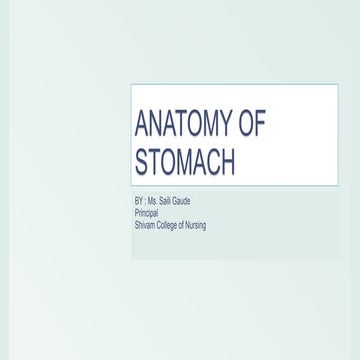 ANATOMY OF STOMACH- a short concise lect
