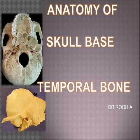 Anatomy of temporal bone and skull base