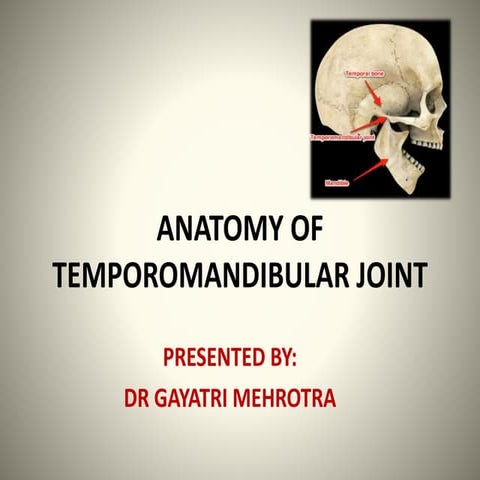 Temporomandibular Joint Anatomy Disorders Of The Jaw – Mi Tec