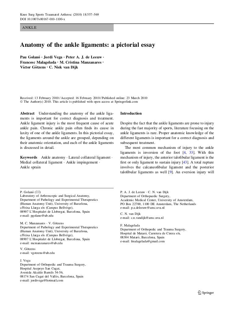 Photo essay topics image