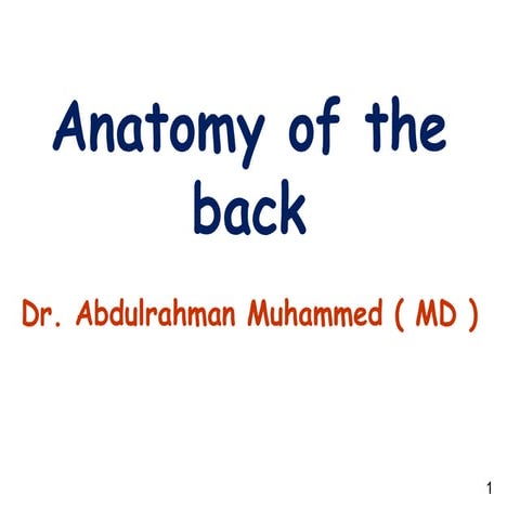 Anatomy of the Back.ppt