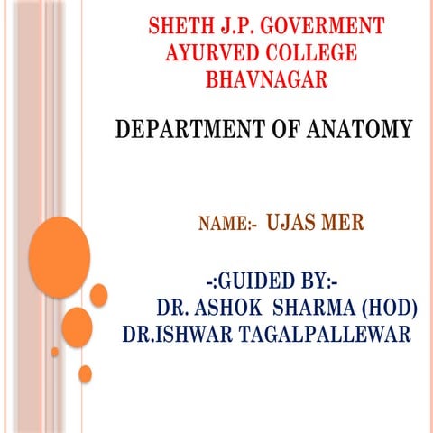 Anatomy of the Brachial Plexus.pAnatomy of the Brachial Plexus.pptxptx