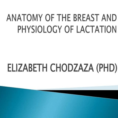 ANATOMY OF THE BREAST AND PHYSIOLOGY OF LACTATION-1 - Copy.ppt