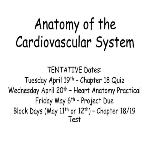 Chapter 18 Anatomy Of The Cardiovascular System Human Anatomy