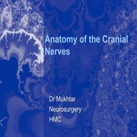 Anatomy of the cranial nerves