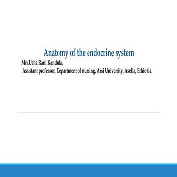 Anatomy of the endocrine system.pptx