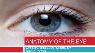 'anatomy of eye' on SlideShare