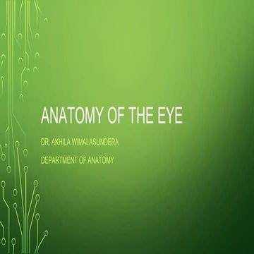 Anatomy of the Eye Organ of sight • Well protected in the bony orbit • 2.5cm ...