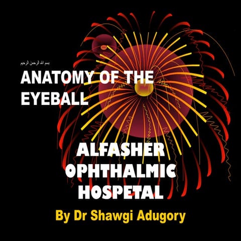 Anatomy of the eyeball  - dr Shawgi Adugory