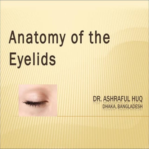 Anatomy of the eyelids