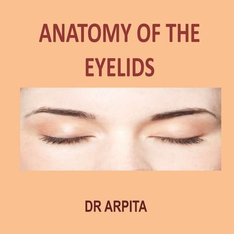 Anatomy of the eyelids