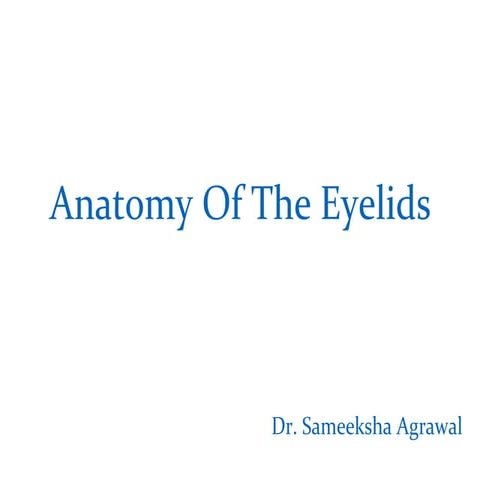 Anatomy of the eyelids 