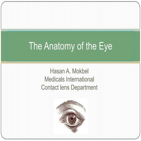Anatomy of the eye presentation
