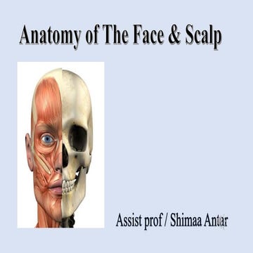 Anatomy of the face and scalp medical.ppsx