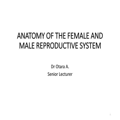 Anatomy of the Female and Male Reproductive System handout.pdf