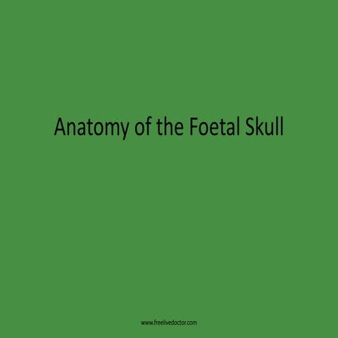Anatomy of the foetal skull