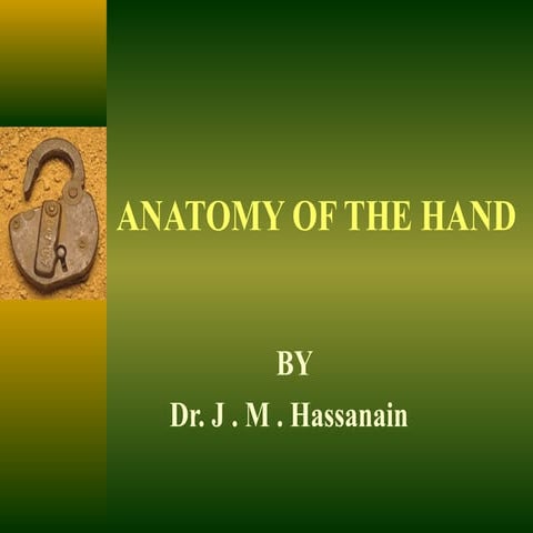 Anatomy of the hand