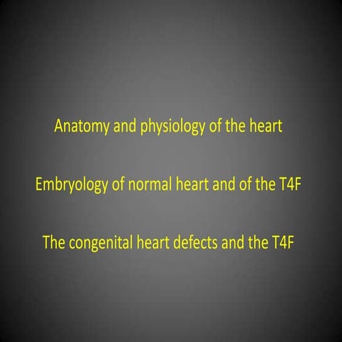 Anatomy of the heart, Schleich