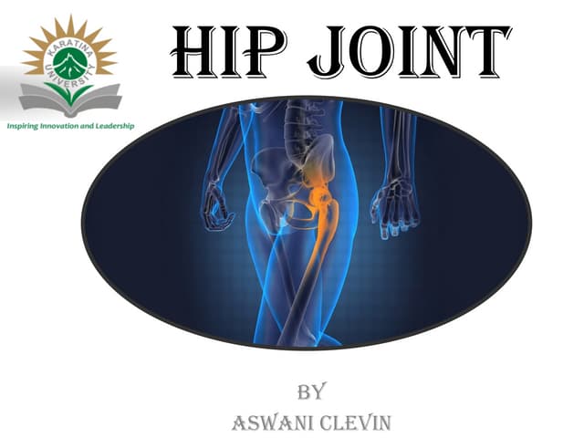 anatomy of the Hip Joint and clinical significance