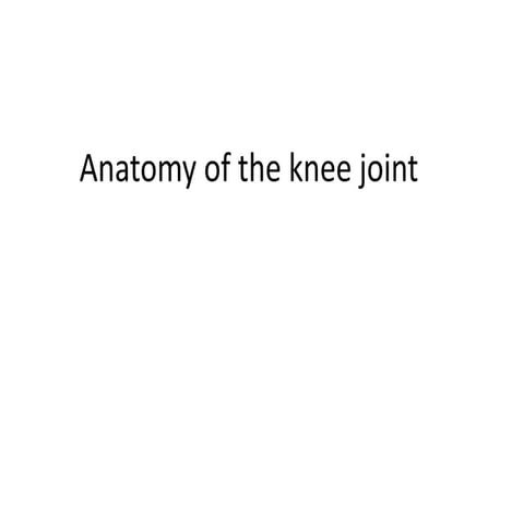 Anatomy of the knee joint