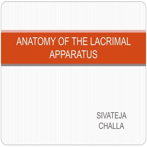Anatomy of the lacrimal apparatus