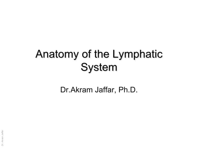 Anatomy of the lymphatic system