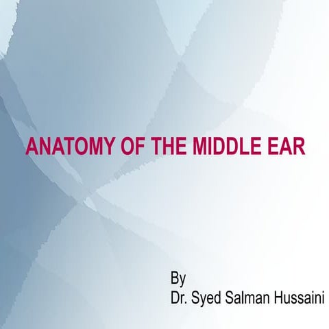 Anatomy of the middle ear