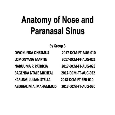 Anatomy of nose | PPTX