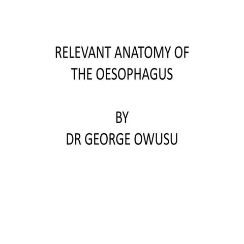 Anatomy of the oesophagus