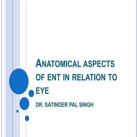 Anatomy of the orbit