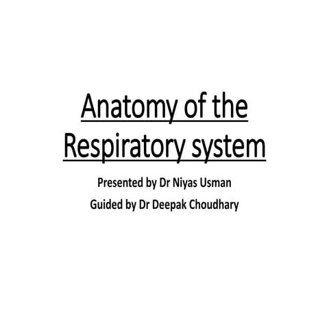 Anatomy of the Respiratory system.pptx Biology Diagrams