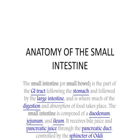 Anatomy of the small intestine