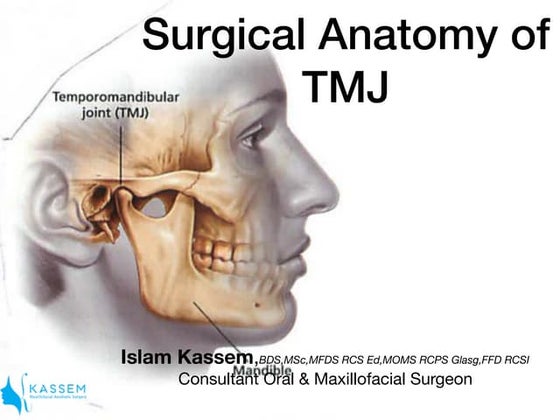 Facial muscles | PPT