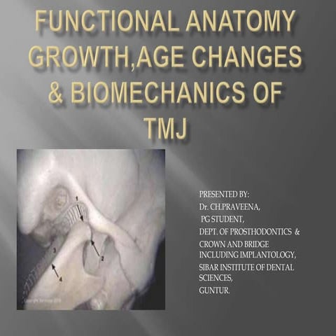 anatomy of tmj.pptx