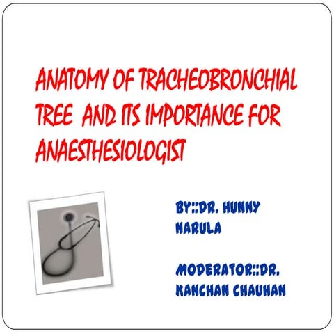 Anatomy of tracheobronchial tree