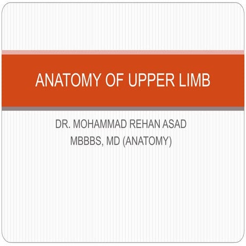 Anatomy of upper limb rehan