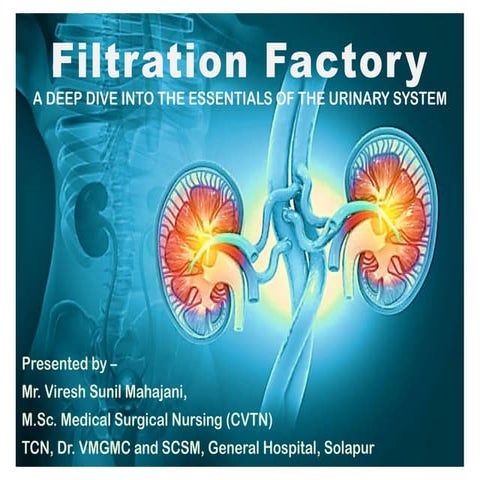 Filtration Factories :  Anatomy and Physiology of Renal system