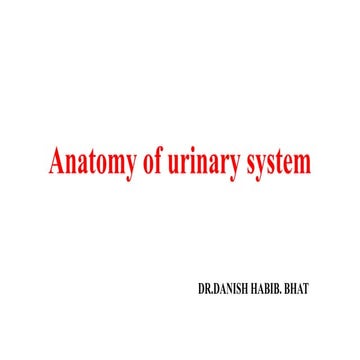 Anatomy of urinary system.prepared by DR. DANISH HABIB BHAT