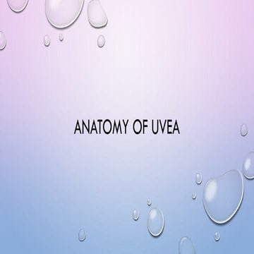 ANATOMY OF                              UVEA.pdf