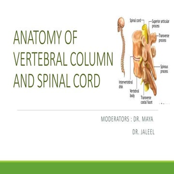ANATOMY OF VERTEBRAL COLUMN AND SPINAL CORD.pptx
