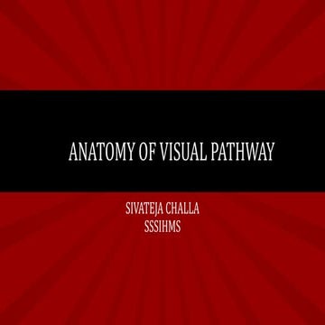 Anatomy OF VISUAL PATHWAY