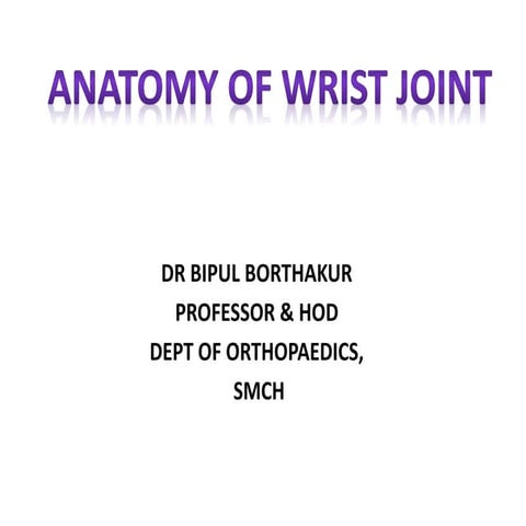 Anatomy of wrist joint