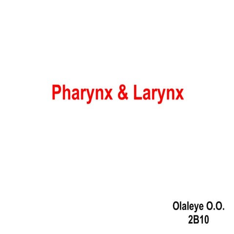 Anatomy pharynx and larynx - Olaleye