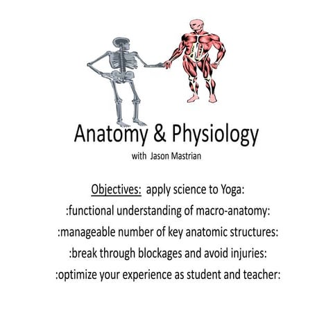 Anatomy & physiology 14 