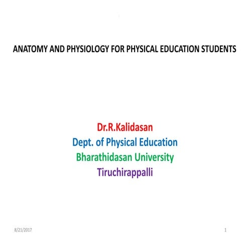 Anatomy and Physiotherapy