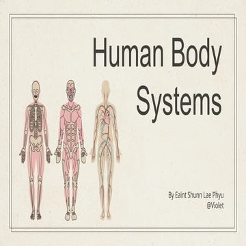 Systems of human body | PPTX