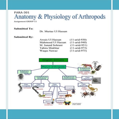 Anatomy & physiology of arthropods
