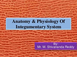 Integumentary system case study worksheet image