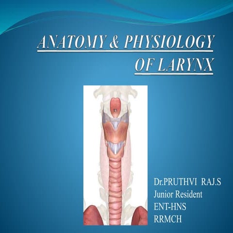 Anatomy & physiology of larynx
